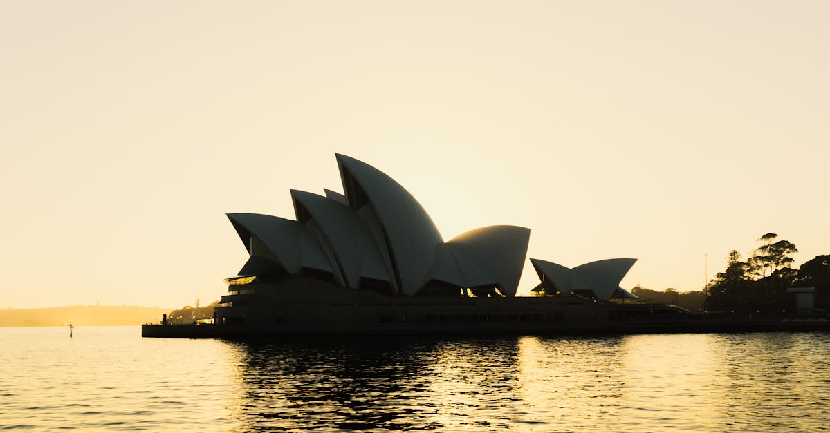 Decluttering Your Space: A Spring Cleaning Approach in Sydney