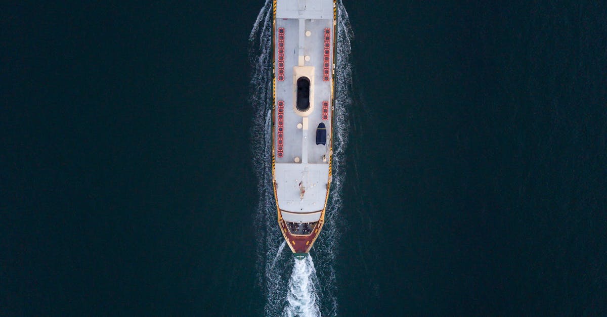 How Eco-certifications Influence Consumer Choices in Cleaning Products