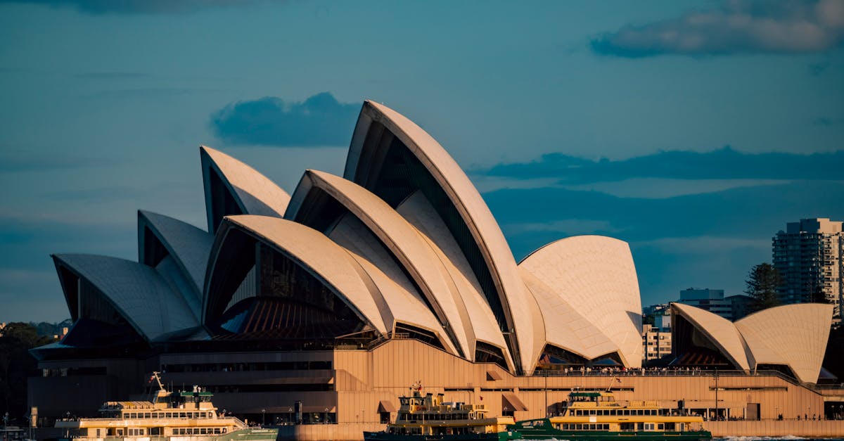 How to Tackle Common Post-Party Messes in Your Sydney Home